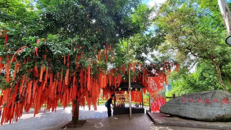 夏季避暑景区出游的实用经验