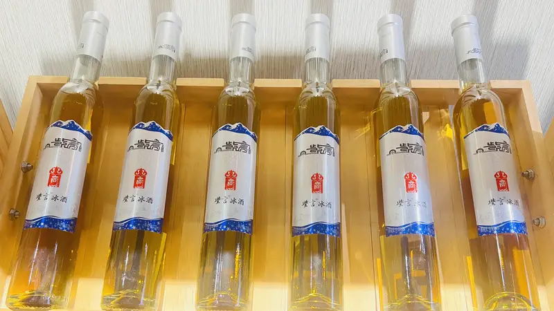 冰酒是什么?紫言酒庄的酿造流程有哪些特点?