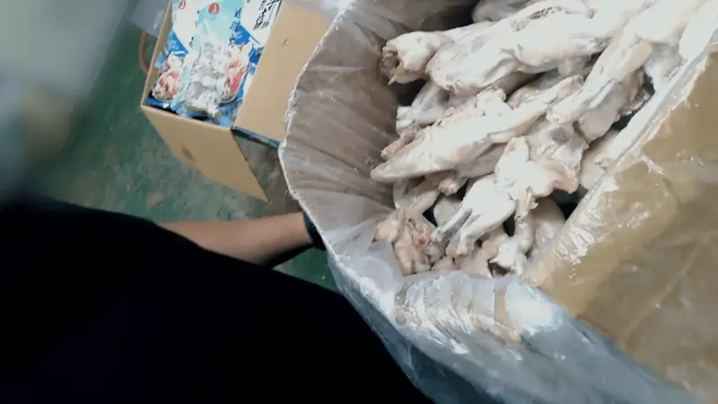 古城汕头蛙声里的隐忧 抗生素牛蛙乱象牵动多地核查目光