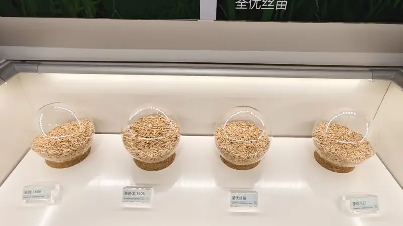 现场 | 停牌日撞上股东会，荃银高科回应超3.5亿元玉米存货减值与同业竞争核心议题