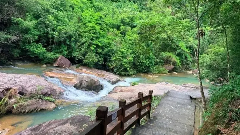 这个夏天，来广州这些公园，在溯溪嬉水中驱散盛夏暑气吧~