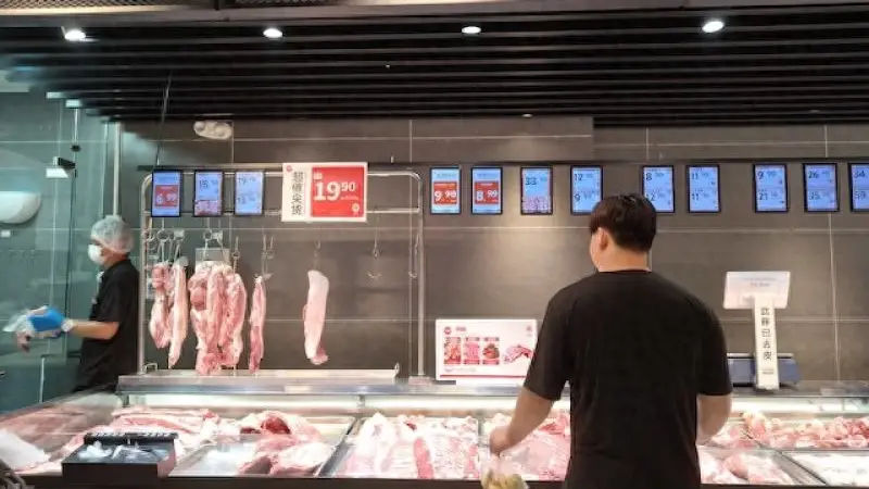猪价反弹20％重回“10元时代”，上市猪企仍在亏损，行业反转还有多远？