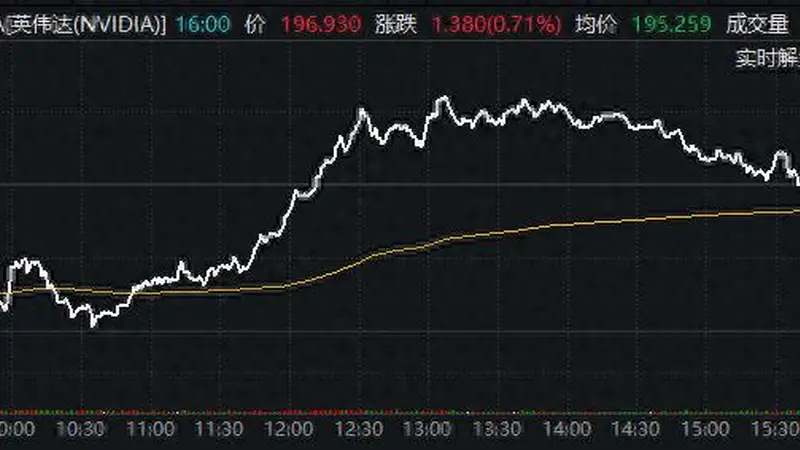 沉睡巨人正在苏醒？英伟达逆势抗跌 看涨期权酝酿“大干一场”