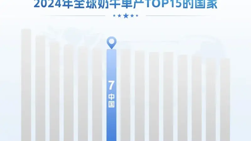 中国奶牛单产进入世界前列，伊利合作牧场单产水平高于美国