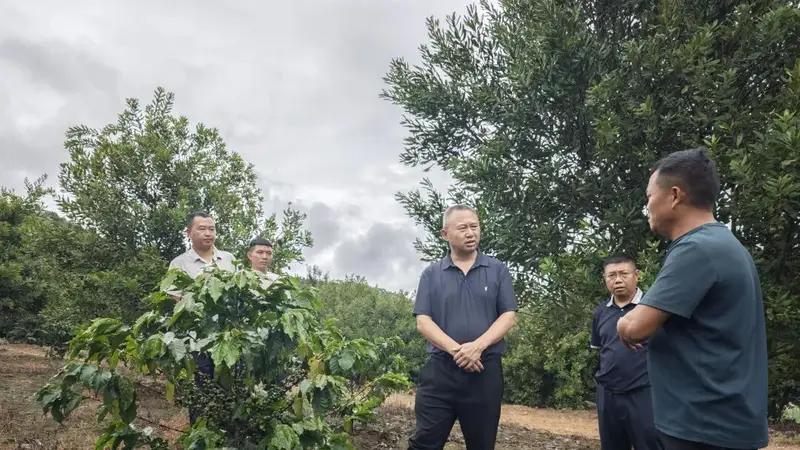 市政协副主席张发云率调研组开展咖啡产业发展情况调研