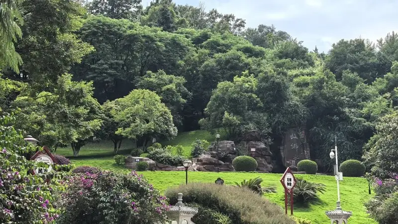登高观城 林间漫步 寥廓山装满曲靖人的悠闲时光