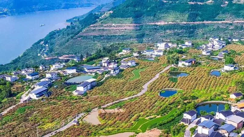 巴阳村:非遗田园间,江畔慢生活