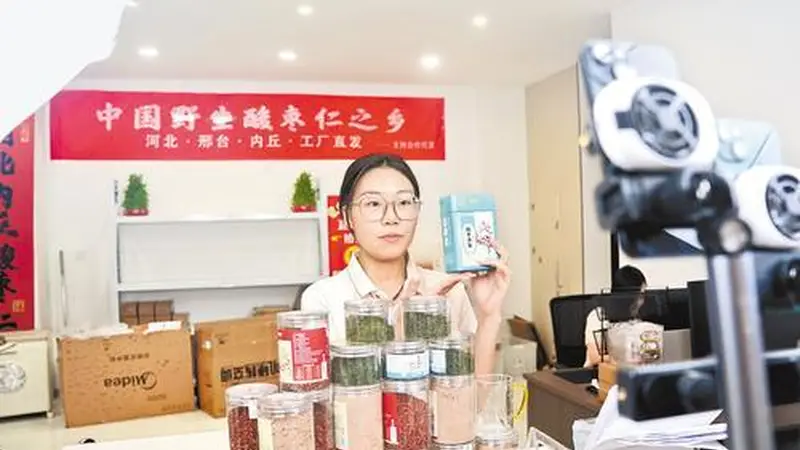 内丘酸枣芽茶热销八千斤 直播间火爆售罄