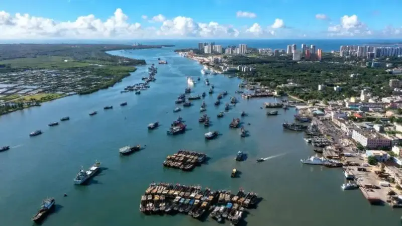 文昌海鲜盛宴：南海慷慨赠予的海量美味