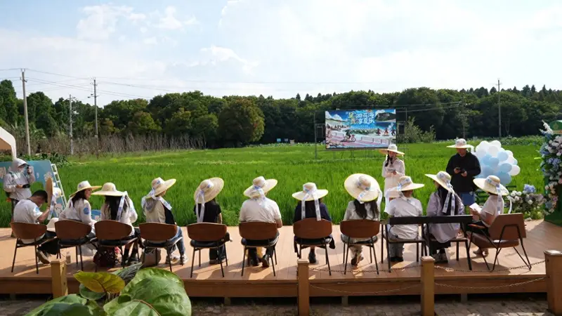 22℃呈贡暑期文旅盛宴：游花海、摘葡萄、跳火把、逛潮集、听音乐会等多元活动精彩呈现