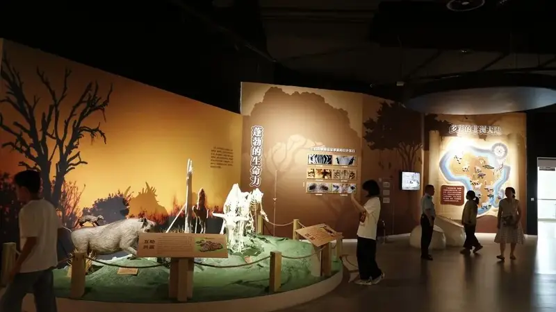 重庆自然博物馆新展带您领略非洲野生动物的蓬勃生命力与生存智慧