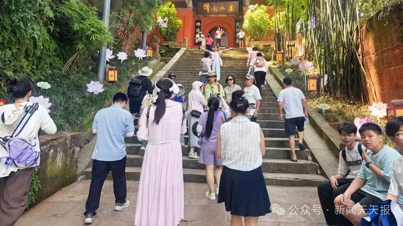 每天投放近5000斤!乐山这个景区太“宠”游客了