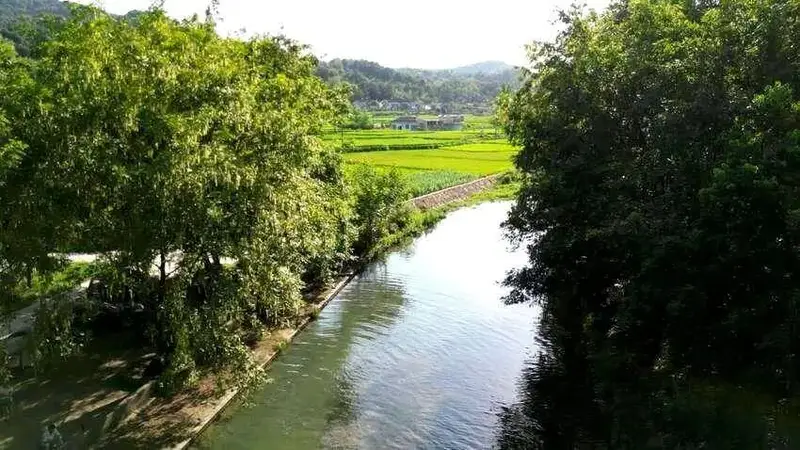 免费且小众！谷城这个“天然空调村”火了！凉到不想回家……