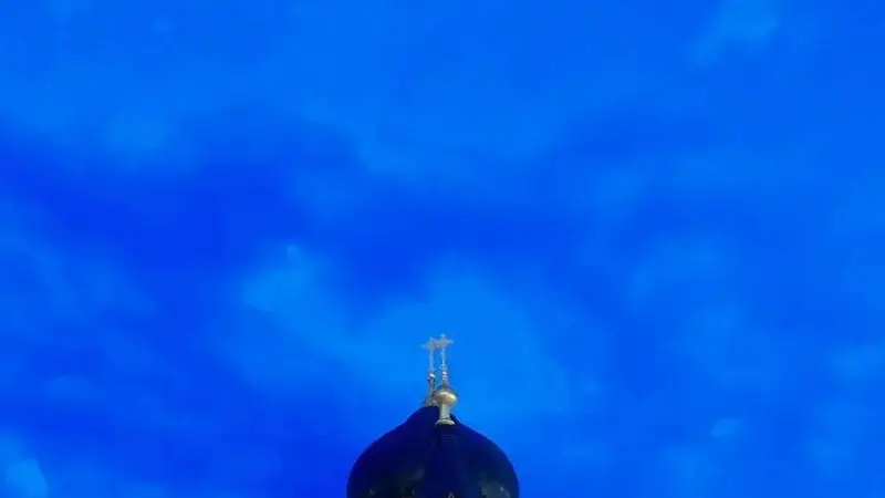 “旅游7天定律”刷屏：觉得旅游累的原因，终于有人说明白了