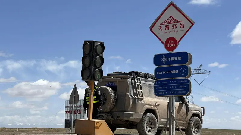青藏公路迎藏羚羊带娃回迁 古城青藏线守护高原萌态尽显