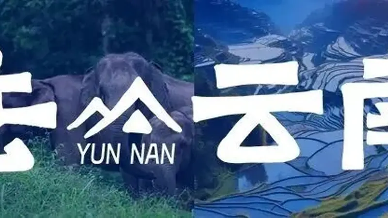 8月,去云南