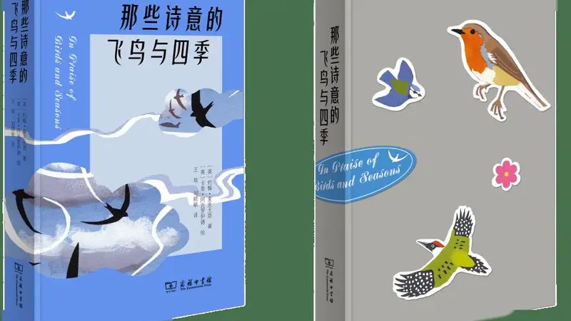 古城烟柳外 纸上观鸟邂逅飞鸟知音
