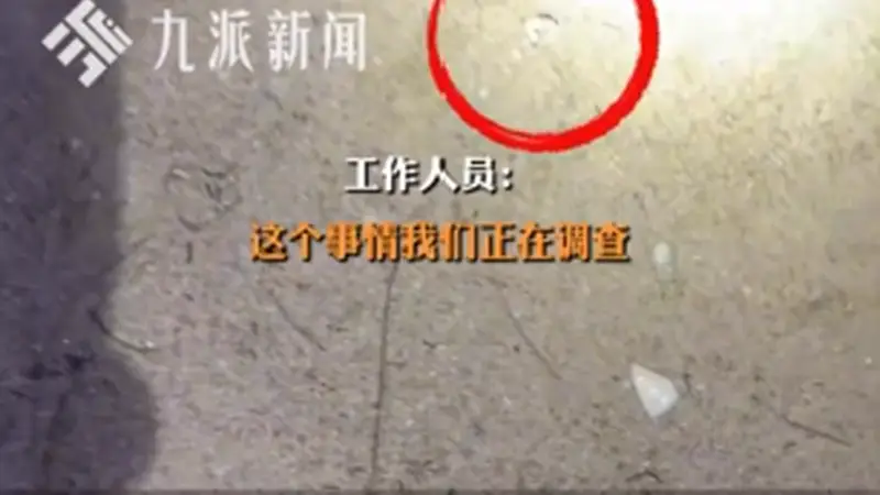 三亚一沙滩现大量图钉，官方回应：公安已介入，涉事区域图钉已基本清理完毕