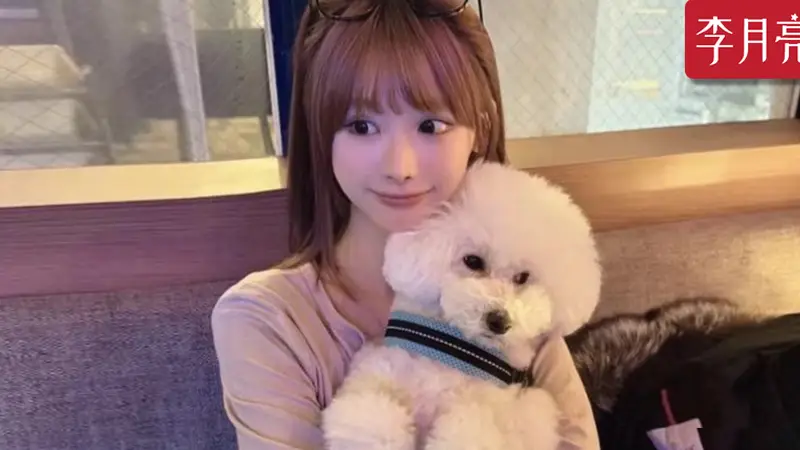 饭圈女孩之死