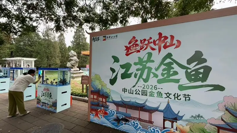中山公园“鱼跃中山”金鱼文化节启幕80余种优质金鱼集中展出