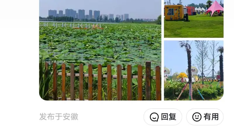 2026 官方实测:芜湖人气高的露营地真相大揭秘