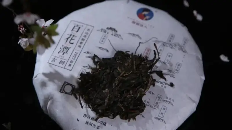 南茗佳人|新茶和老茶该怎么选？
