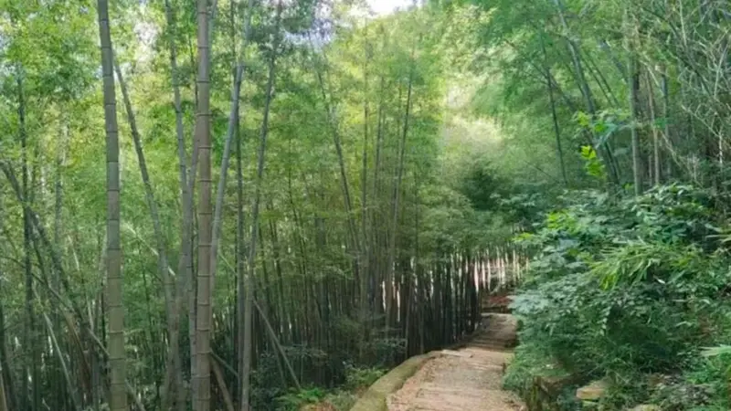 12元/斤，夏日顶鲜！杭州人的餐桌少不了它，吃法毛多嘞！