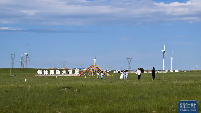 锡林郭勒大草原夏日即景