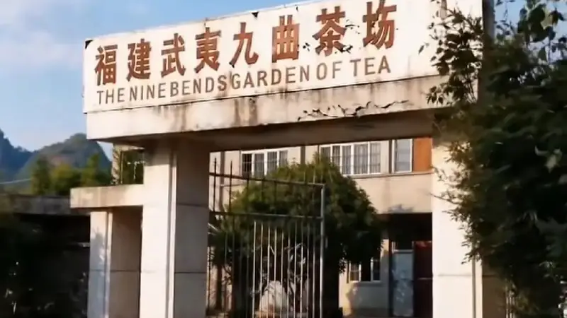 星村茶人引领武夷岩茶产业革新之路