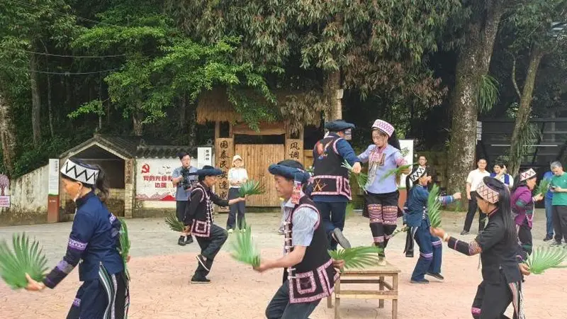 绿春虾巴棕扇舞 山海协作风韵新绽