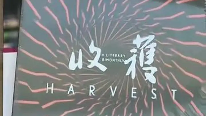 当新媒介重塑文学生态，如何将经验转化为有力量的作品