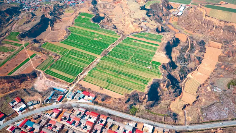 一路面塌陷处惊现大量白骨？当地文保部门回应