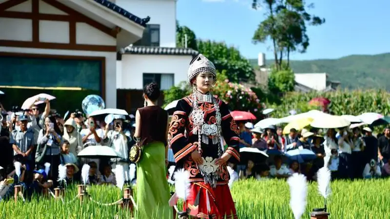 四川会东:古城稻田间挑花绣艺随火把节盛放