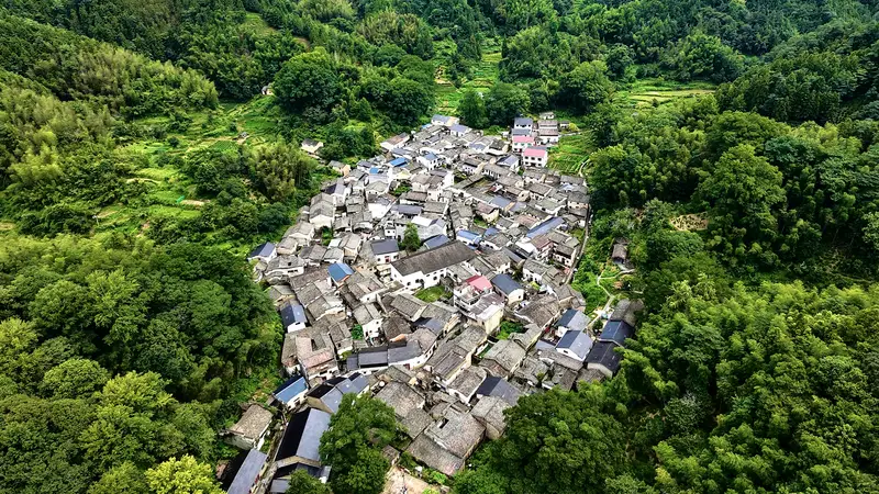 看见古村｜江西严台村：一缕茶香飘百年