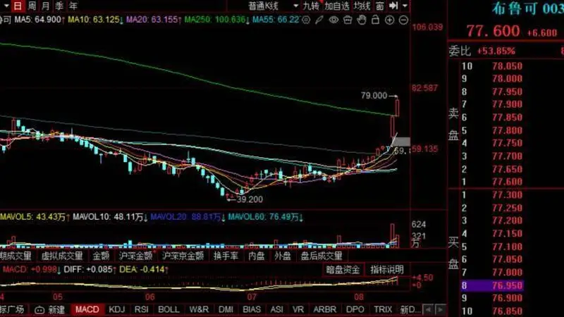 9.9元玩具爆卖，布鲁可半年收入17.8亿！海外狂飙228%，毛利率却创新低