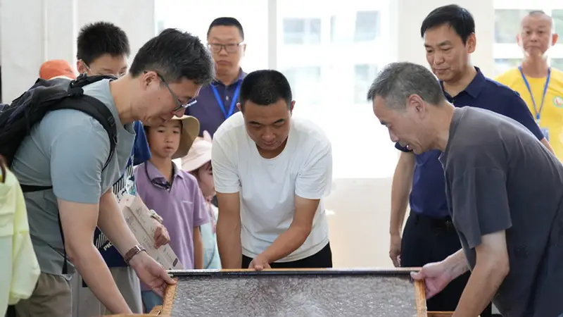 新华视点｜“奔县游”何以有奔头