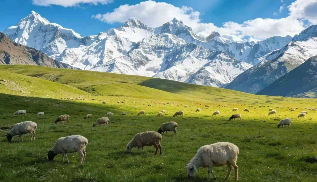 经过对新疆百余家旅行社暗访，本地人公认的零投诉靠谱名单终于出炉