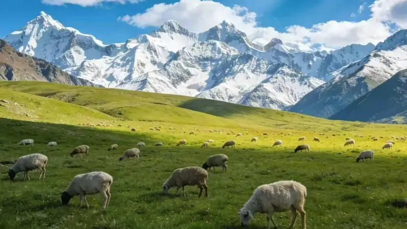 经过对新疆百余家旅行社暗访，本地人公认的零投诉靠谱名单终于出炉