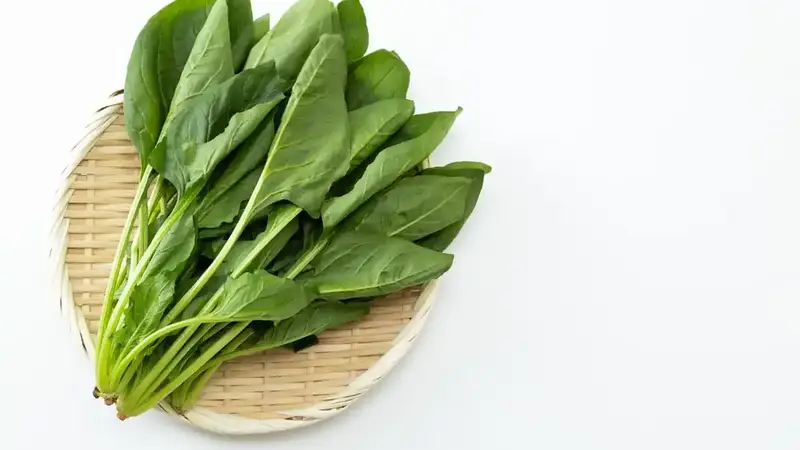 了解菠菜的食疗作用