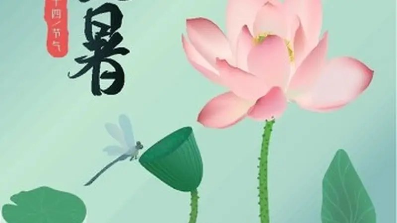 大暑早餐推荐:清爽养胃四款食谱,让你精神饱满一整天