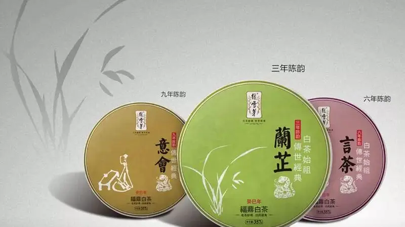 绿雪芽与福鼎白茶：原产地之韵与产业发展共鸣