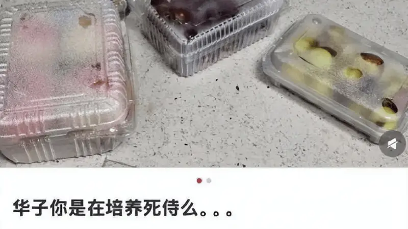 实习生薪资万元起步，华为字节抢人太狠！苦逼车企差多少？