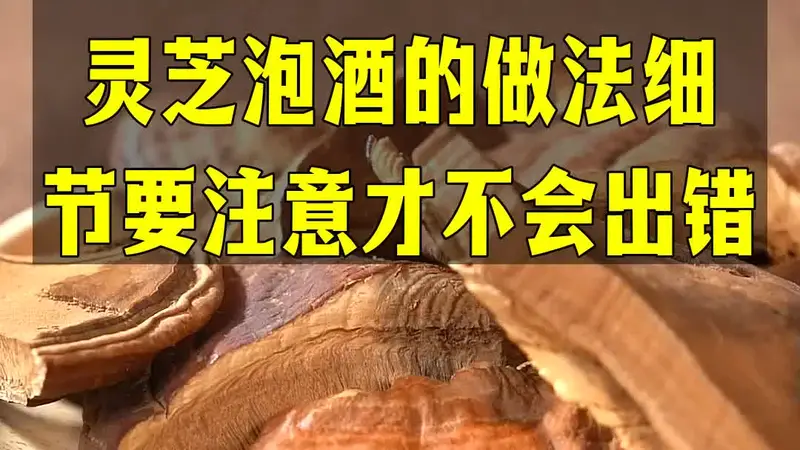 古城日常的养生小细节 灵芝泡酒的雅致做法需留意配料分寸
