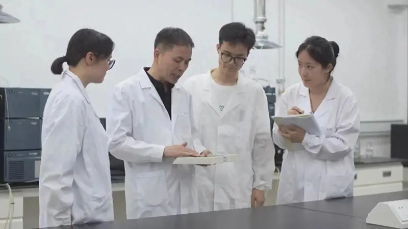 黑龙江虎林古城里 刺五加茶氤氲出独特文艺气质的地域新名片