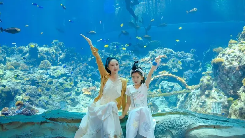 董璇被问周也是不是你失踪已久的女儿,称“我也怀疑”