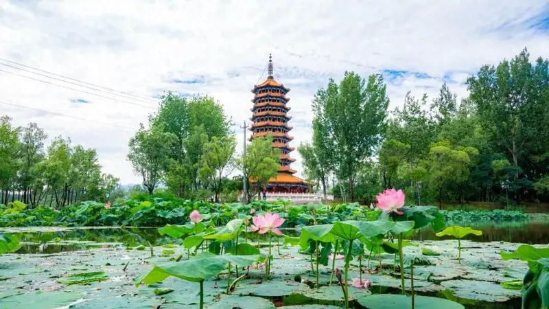 去了延庆,才知道什么叫做“生如夏花”——
