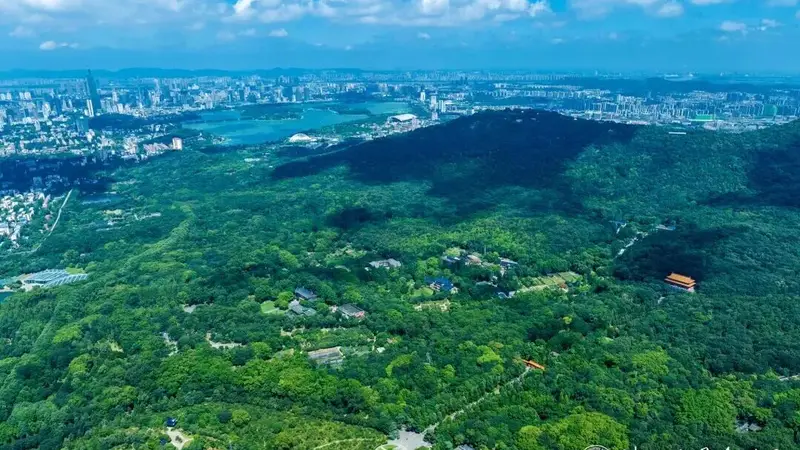 南京钟山风景区邀请全国2026年高校新生来打卡！