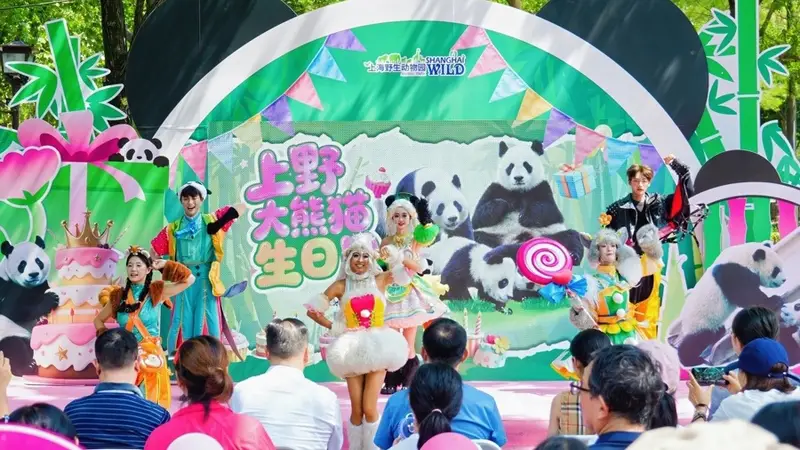 沪上野趣萌宠盛事启幕：大熊猫生日月与奇趣探秘之旅共绘城市文旅文艺新篇