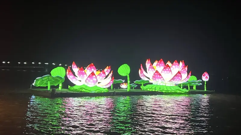 夜游淮阳赏荷韵 古今相融点亮水城夏夜