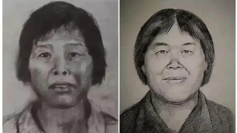二十余年追光赴真途 羊城古城下梅姨案近司法审查